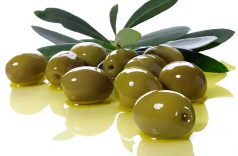 قیمت و خرید زیتون ممتاز طارم زنجان + فروش ارزان